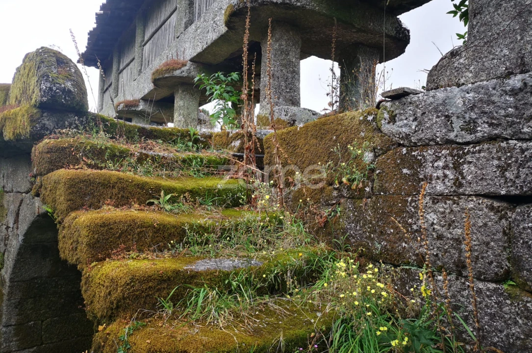 Moradia T1 para Venda em Aboim da Nóbrega e Gondomar Foto 16