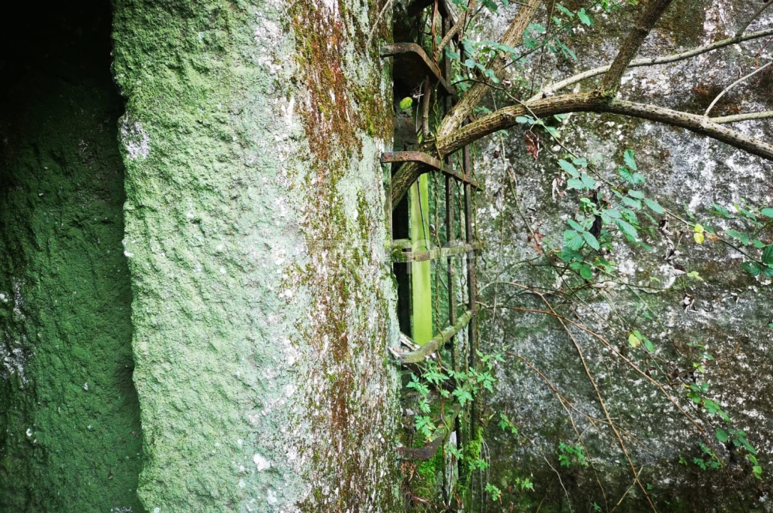 Moradia T1 para Venda em Aboim da Nóbrega e Gondomar Foto 2