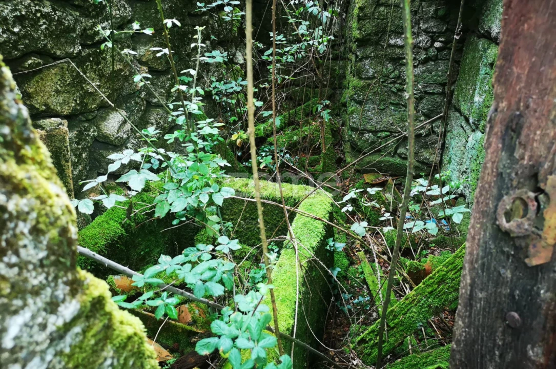 Moradia T1 para Venda em Aboim da Nóbrega e Gondomar Foto 7