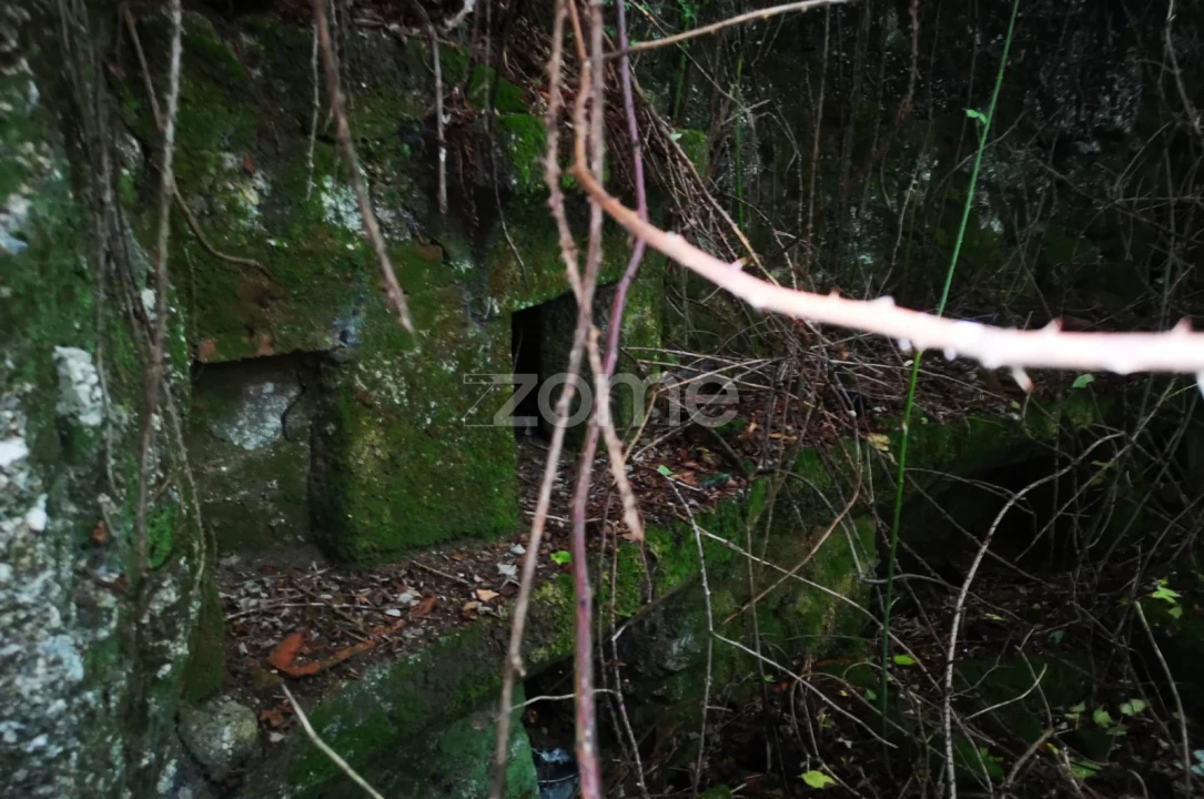 Moradia T1 para Venda em Aboim da Nóbrega e Gondomar Foto 6