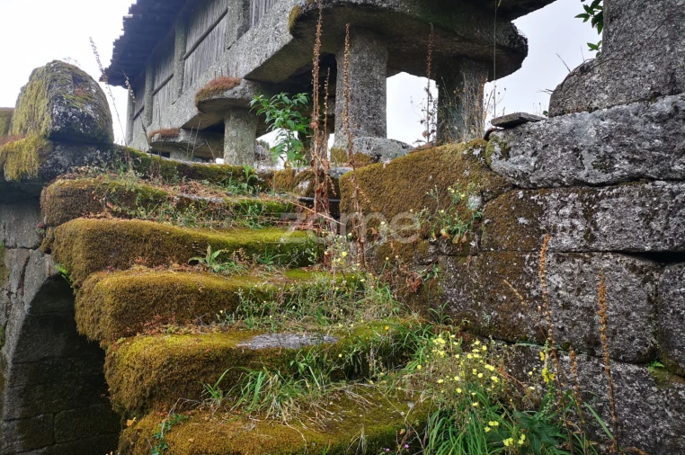 Moradia T1 para Venda em Aboim da Nóbrega e Gondomar Foto 16