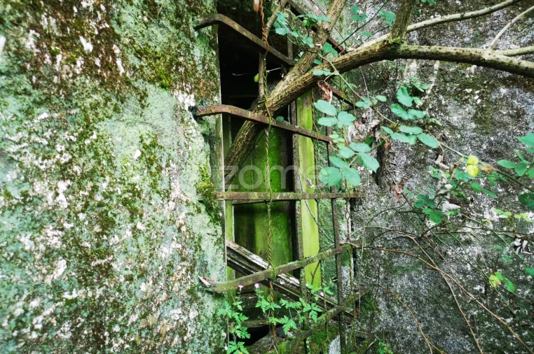 Moradia T1 para Venda em Aboim da Nóbrega e Gondomar Foto 4