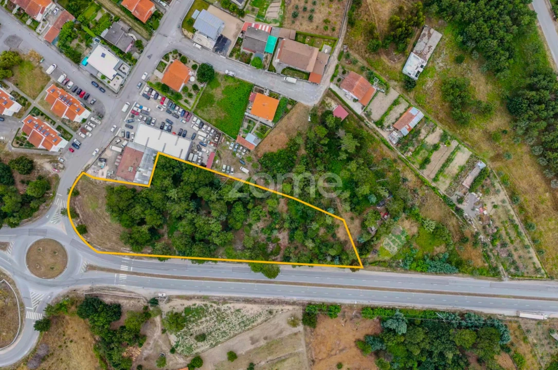 Terreno para Venda em Nelas Foto 13