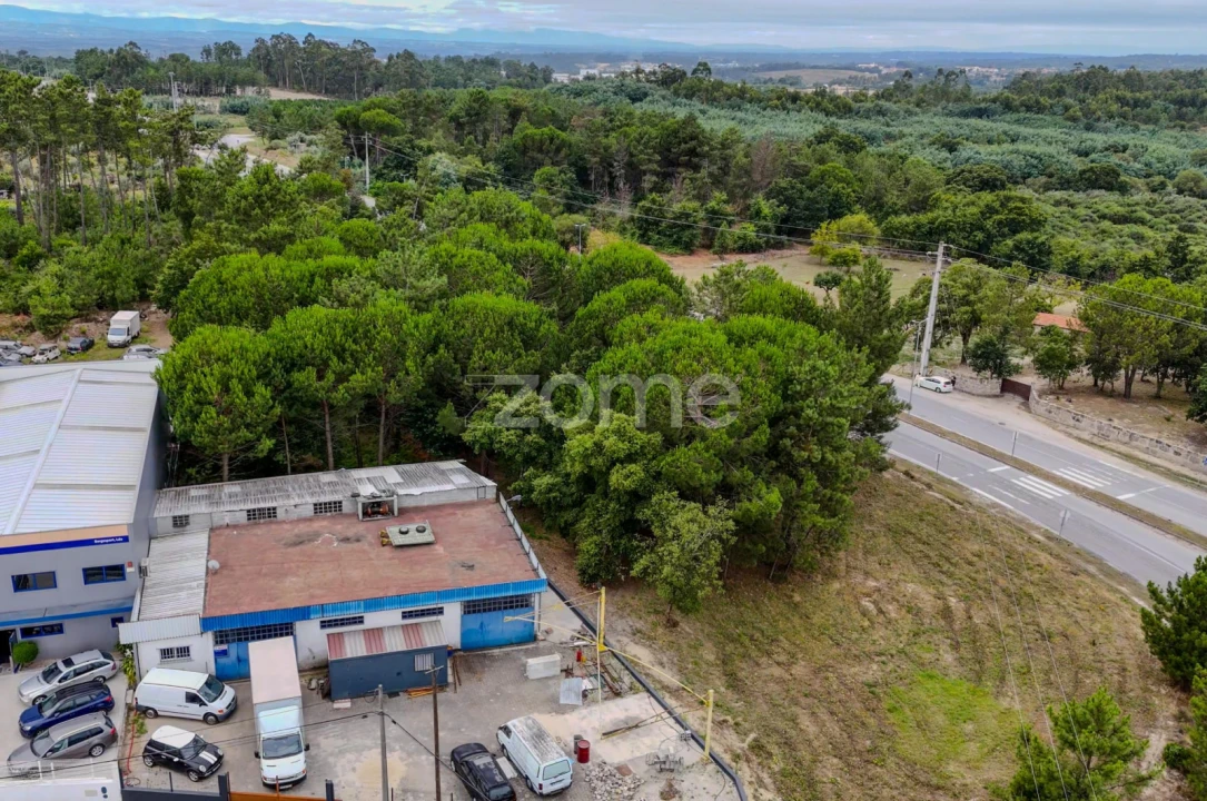 Terreno para Venda em Nelas Foto 9