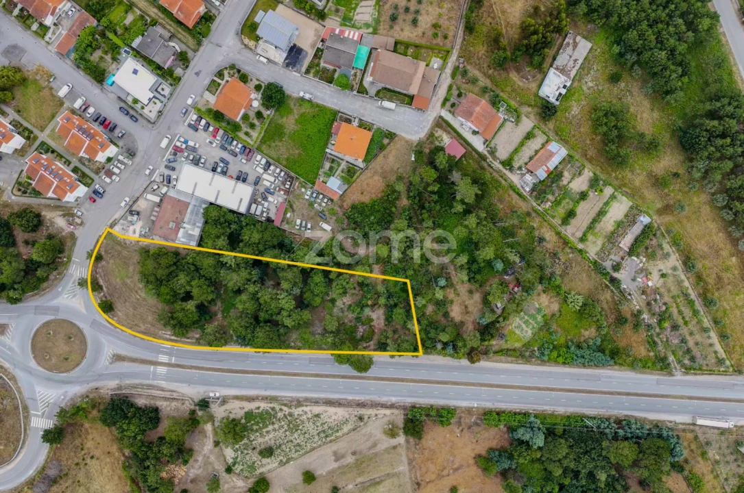 Terreno para Venda em Nelas Foto 10