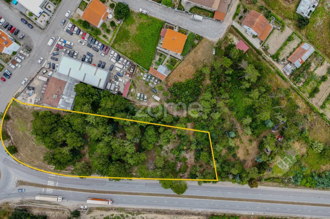 Terreno para Venda em Nelas Foto 4