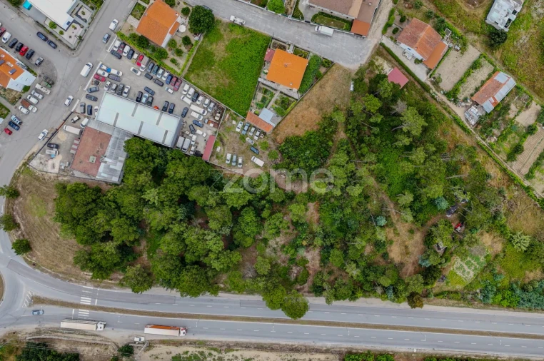 Terreno para Venda em Nelas Foto 6
