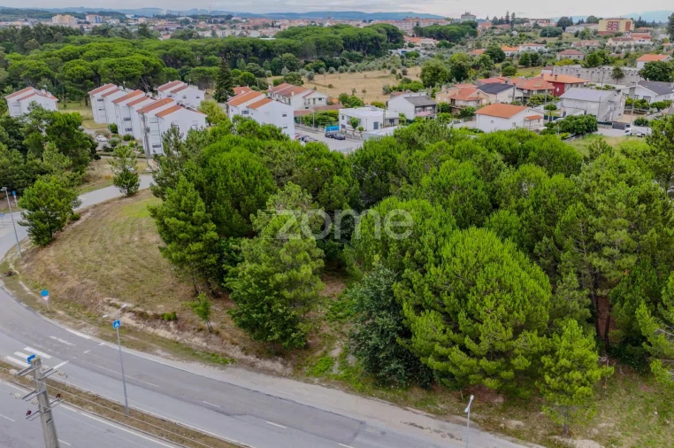 Terreno para Venda em Nelas Foto 15