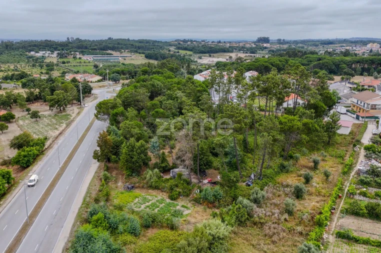 Terreno para Venda em Nelas Foto 7