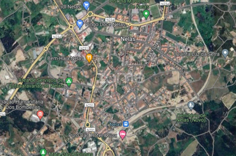 Terreno para Venda em Nelas Foto 12