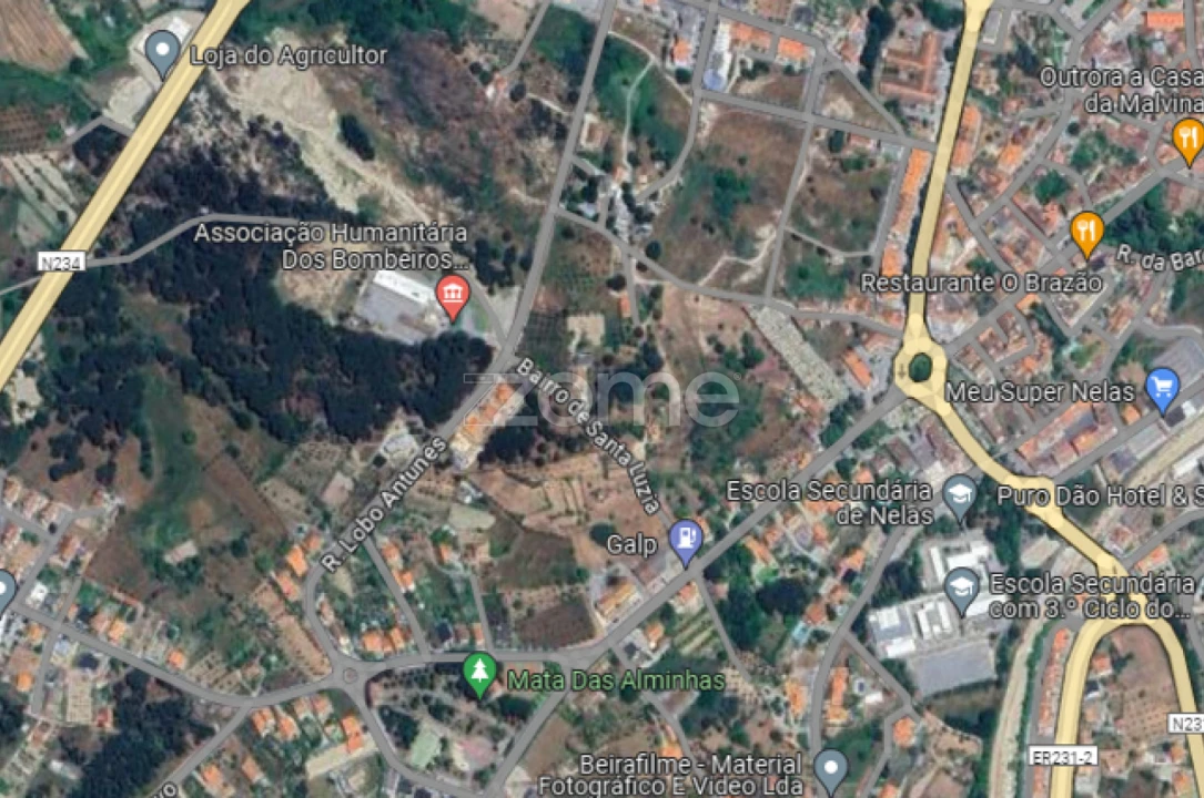 Terreno para Venda em Nelas Foto 8