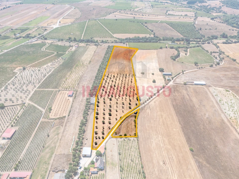 Moradia T5 para Venda em Vermiosa Foto 3