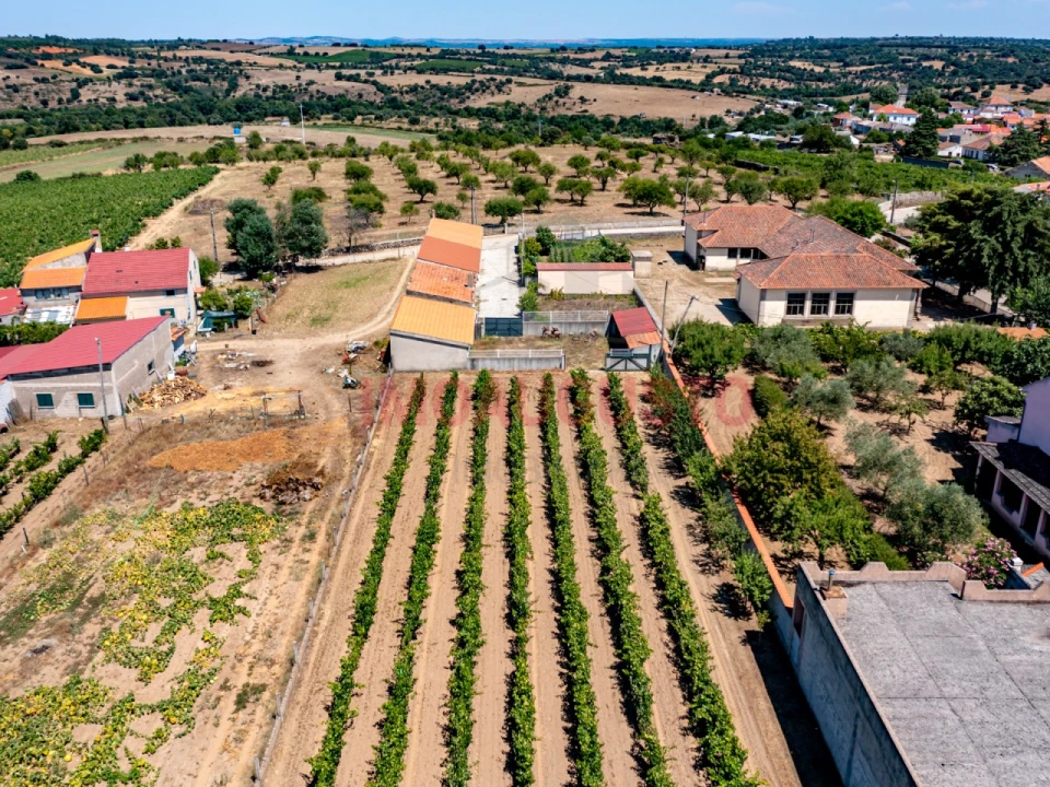 Moradia T5 para Venda em Vermiosa Foto 5