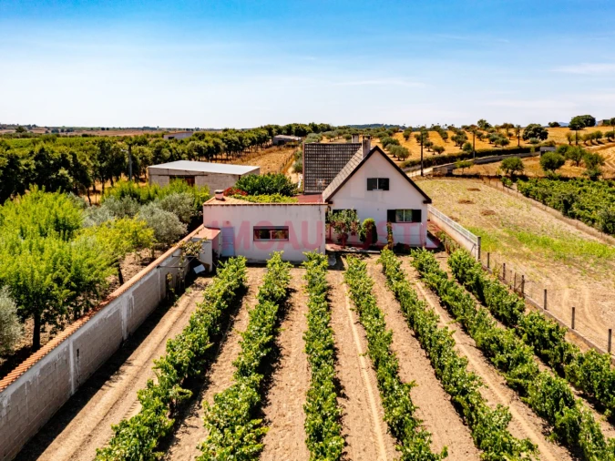 Moradia T5 para Venda em Vermiosa Foto 7