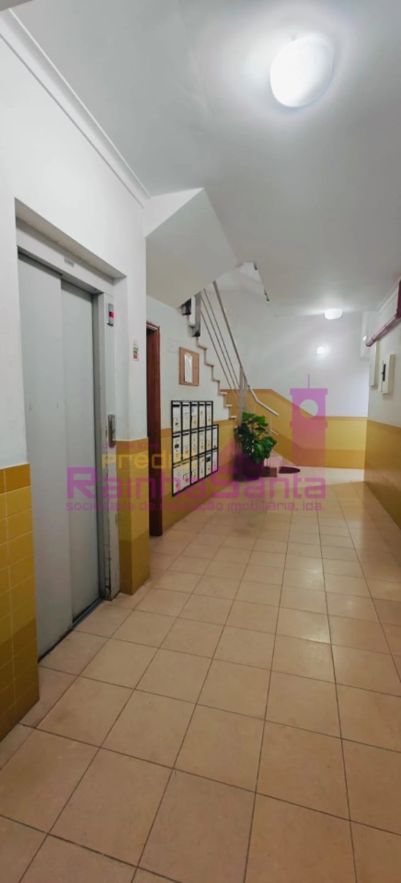 Escritório para Arrendamento em Cantanhede e Pocariça Foto 11