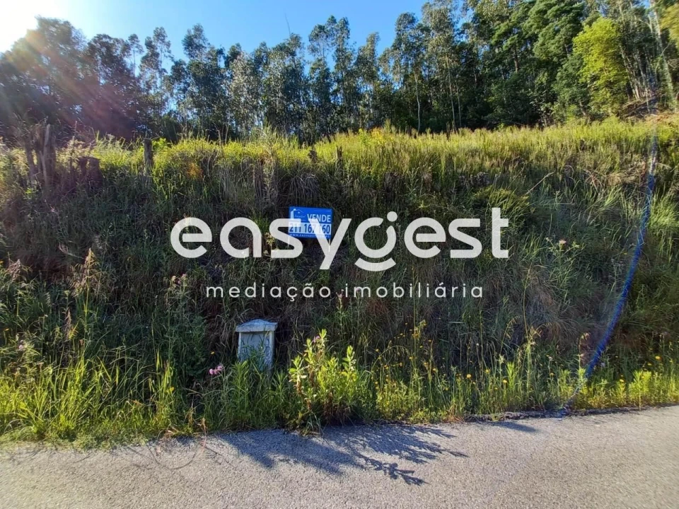 Terreno Agricola ou Rústico para Venda em Santo Antonio dos Olivais Foto 1