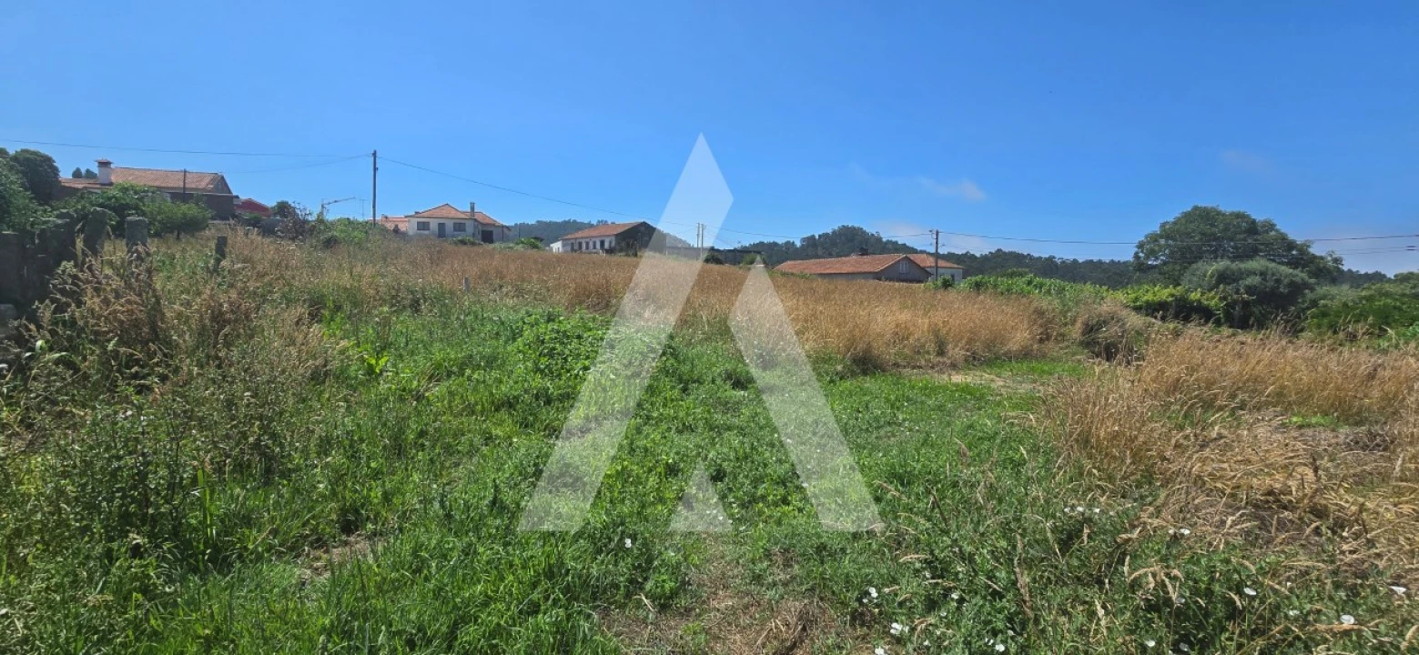 Terreno para Venda em Antas Foto 5