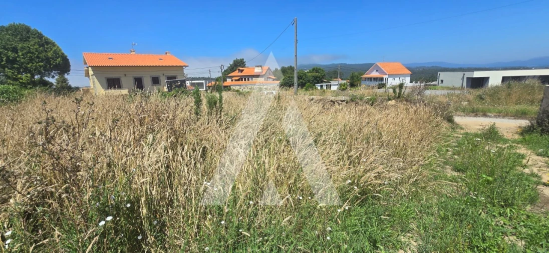 Terreno para Venda em Antas Foto 4
