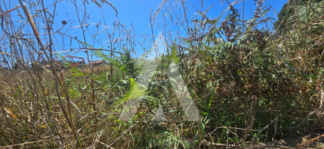 Terreno para Venda em Antas Foto 7