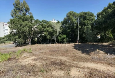Terreno para Venda em Achete, Azoia de Baixo e Póvoa de Santarém