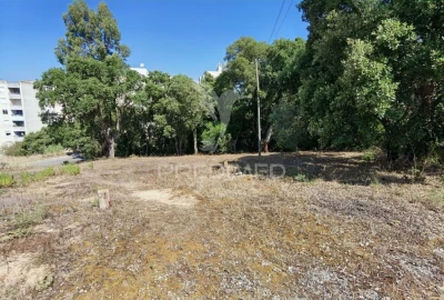 Terreno para Venda em Achete, Azoia de Baixo e Póvoa de Santarém