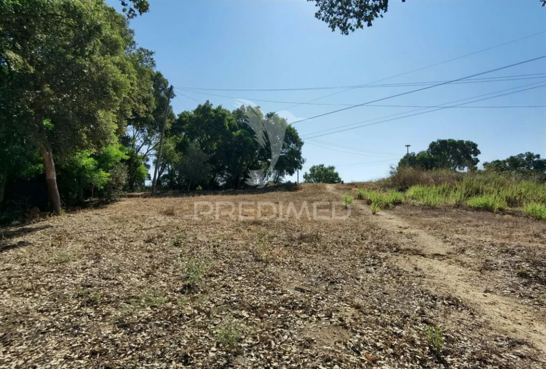 Terreno para Venda em Achete, Azoia de Baixo e Póvoa de Santarém Foto 12