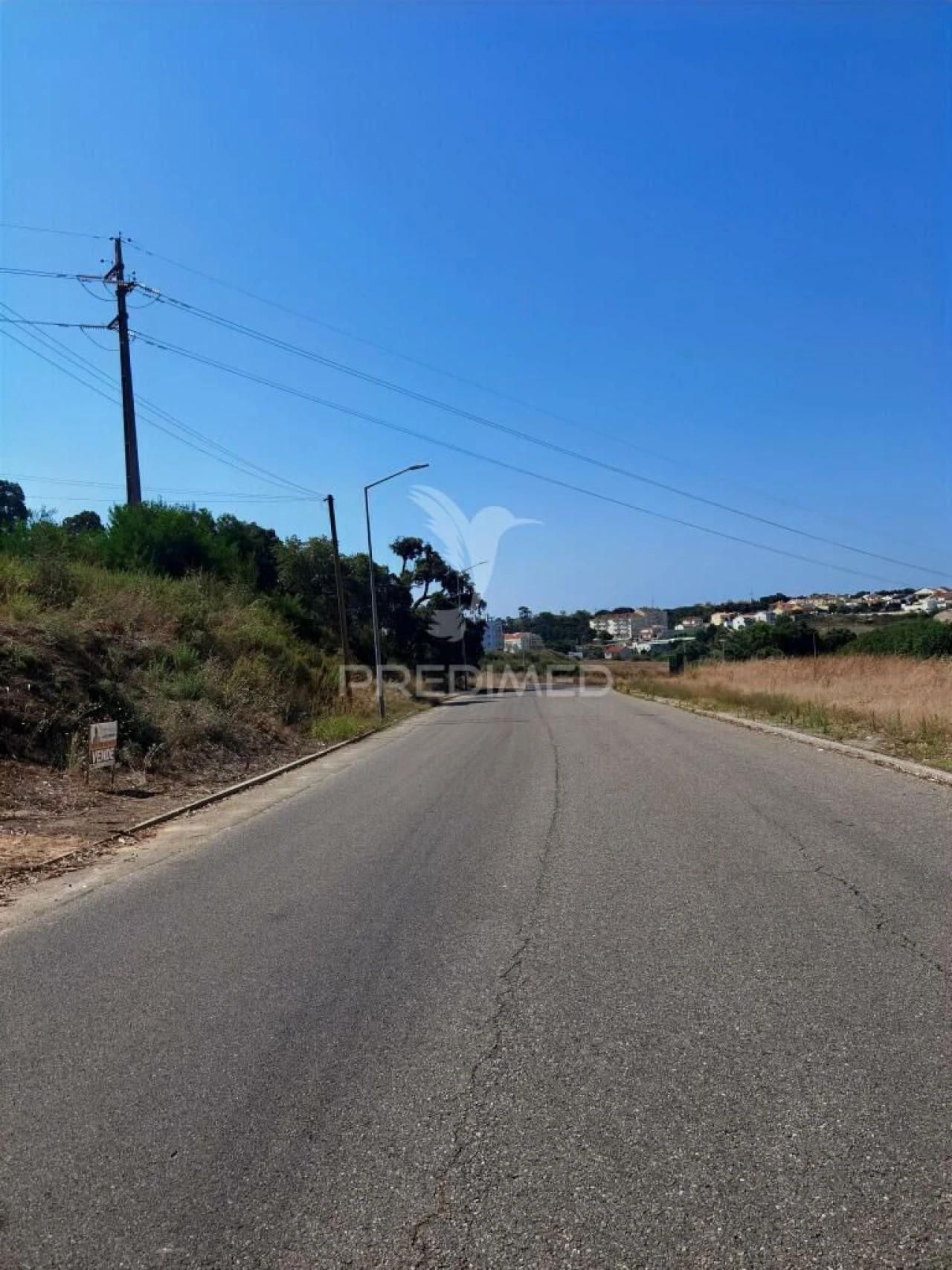 Terreno para Venda em Achete, Azoia de Baixo e Póvoa de Santarém Foto 6
