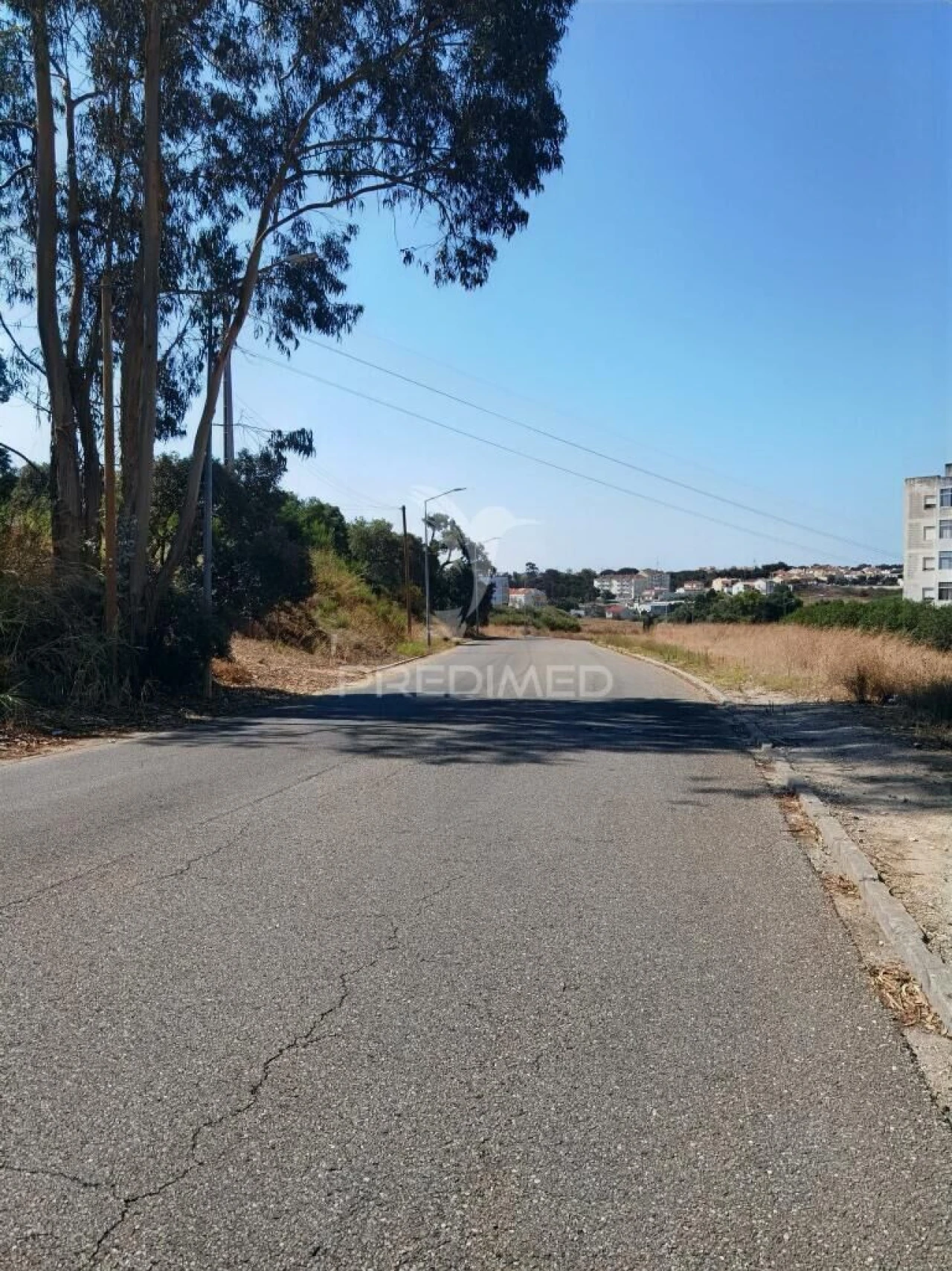Terreno para Venda em Achete, Azoia de Baixo e Póvoa de Santarém Foto 5
