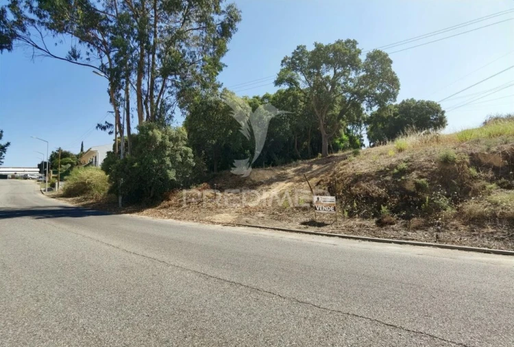 Terreno para Venda em Achete, Azoia de Baixo e Póvoa de Santarém Foto 2