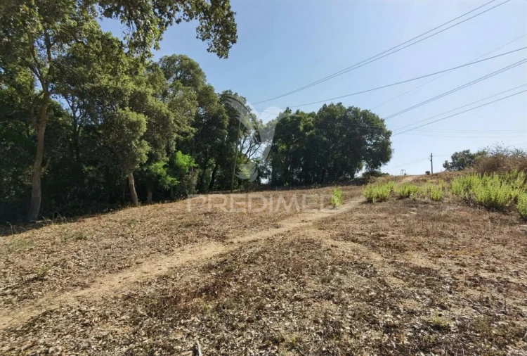 Terreno para Venda em Achete, Azoia de Baixo e Póvoa de Santarém Foto 13