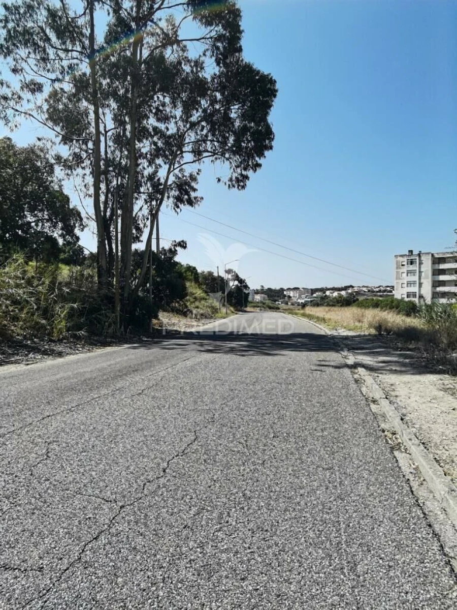 Terreno para Venda em Achete, Azoia de Baixo e Póvoa de Santarém Foto 14
