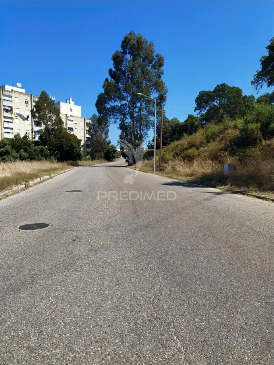 Terreno para Venda em Achete, Azoia de Baixo e Póvoa de Santarém Foto 4