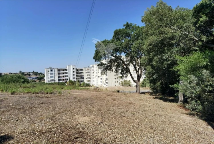 Terreno para Venda em Achete, Azoia de Baixo e Póvoa de Santarém Foto 18