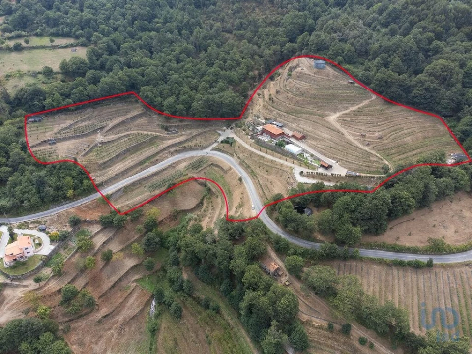 Moradia T6 para Venda em Anreade e São Romão de Aregos Foto 3