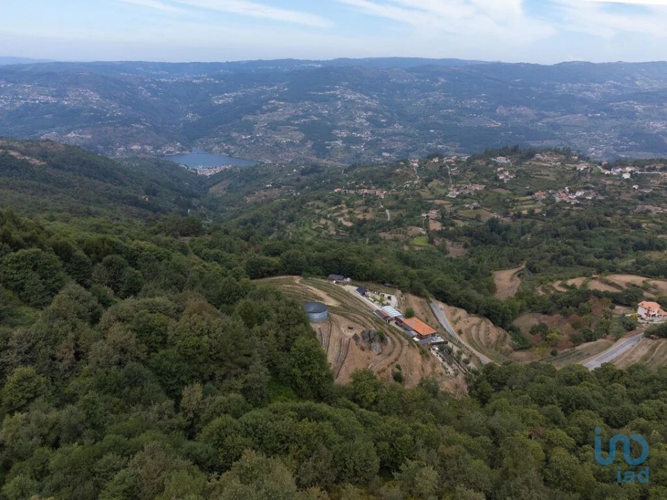 Moradia T6 para Venda em Anreade e São Romão de Aregos Foto 4