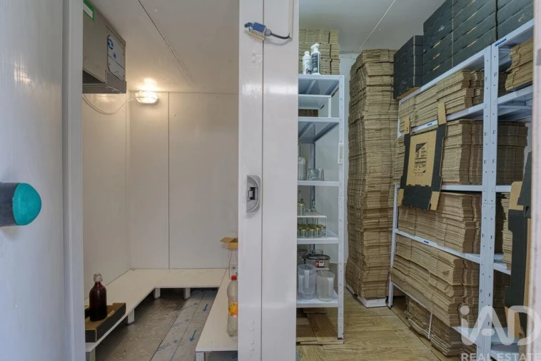 Moradia T6 para Venda em Anreade e São Romão de Aregos Foto 24