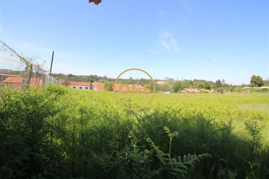 Terreno para Venda em Areias, Sequeirô, Lama e Palmeira Foto 3