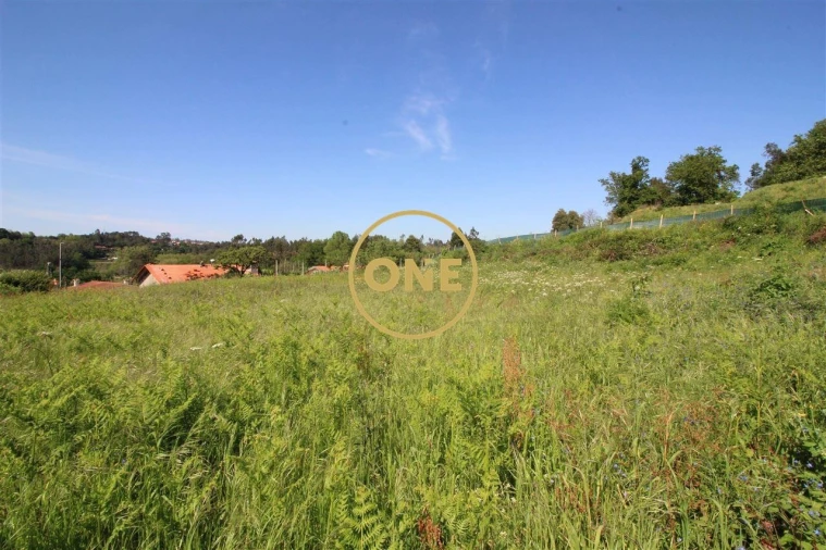 Terreno para Venda em Areias, Sequeirô, Lama e Palmeira Foto 7