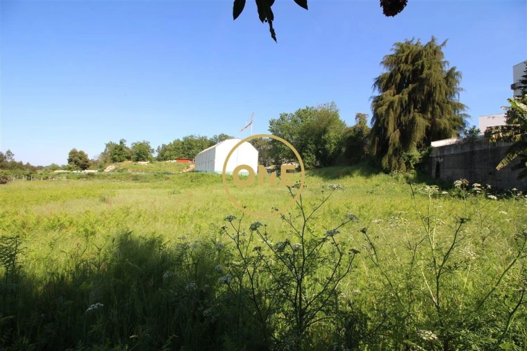Terreno para Venda em Areias, Sequeirô, Lama e Palmeira