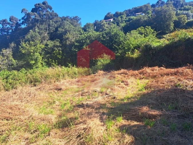 Terreno para Venda em Pico de Regalados, Gondiães e Mós Foto 12