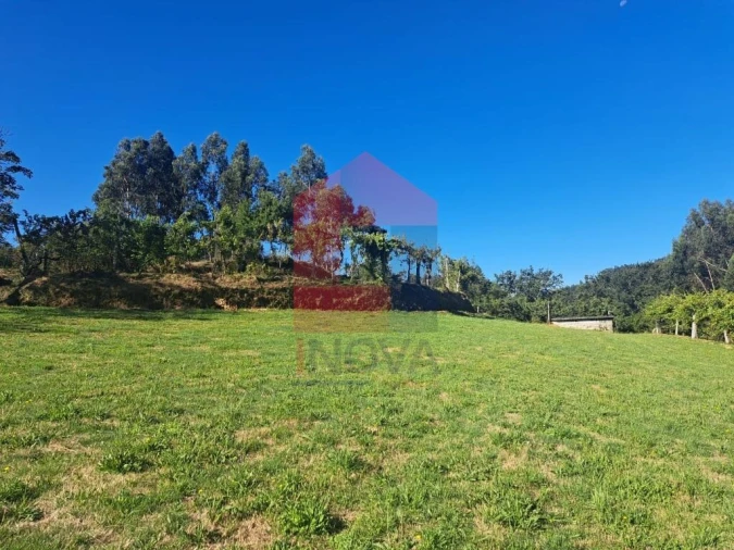 Terreno para Venda em Pico de Regalados, Gondiães e Mós Foto 7