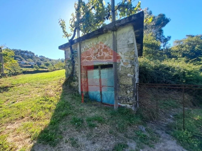 Terreno para Venda em Pico de Regalados, Gondiães e Mós Foto 8