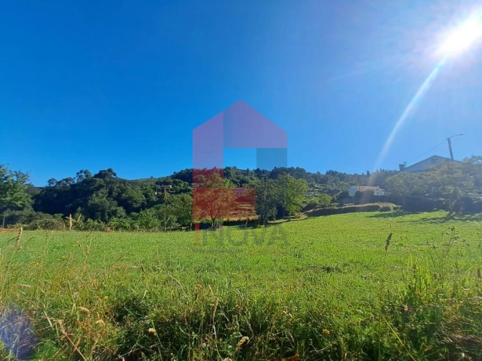 Terreno para Venda em Pico de Regalados, Gondiães e Mós Foto 5