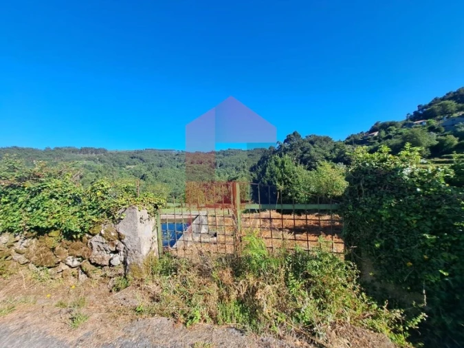 Terreno para Venda em Pico de Regalados, Gondiães e Mós Foto 13