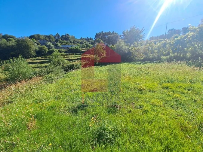 Terreno para Venda em Pico de Regalados, Gondiães e Mós Foto 11