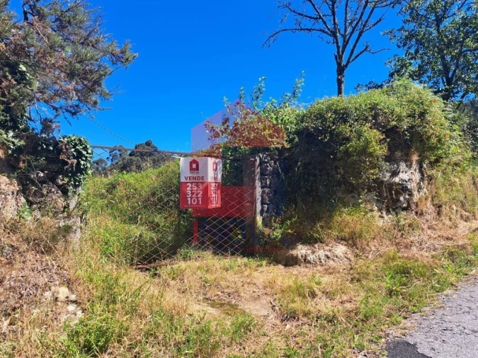 Terreno para Venda em Pico de Regalados, Gondiães e Mós Foto 14