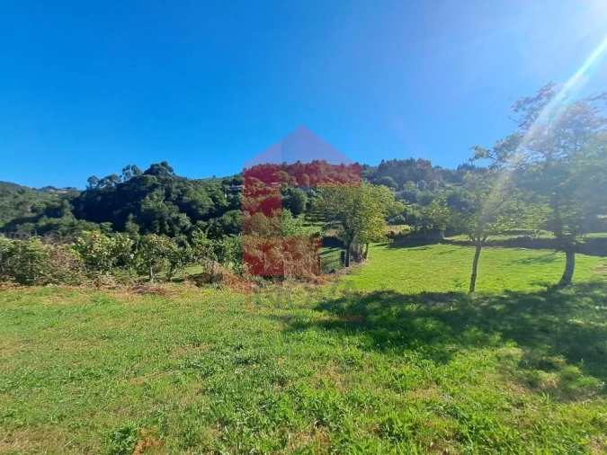 Terreno para Venda em Pico de Regalados, Gondiães e Mós Foto 3