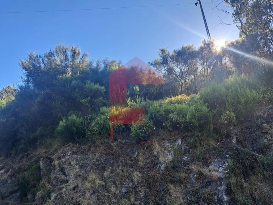 Terreno para Venda em Pico de Regalados, Gondiães e Mós Foto 6