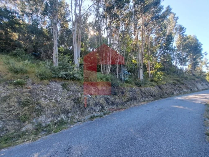 Terreno para Venda em Pico de Regalados, Gondiães e Mós Foto 4
