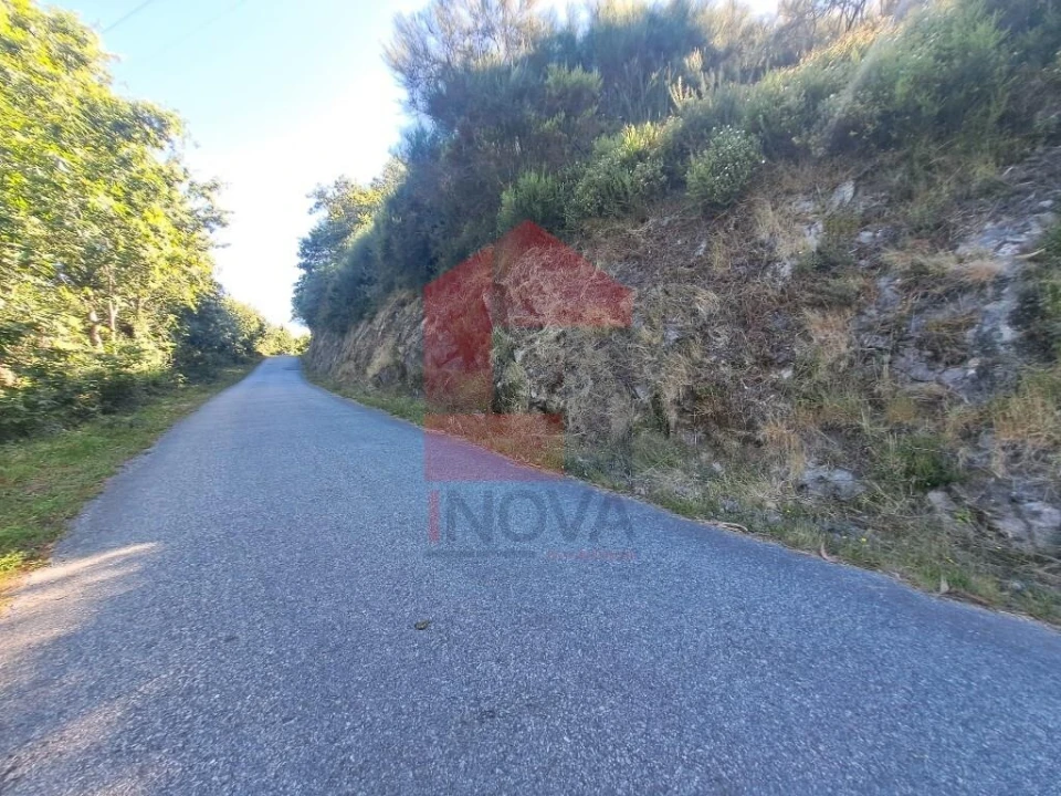 Terreno para Venda em Pico de Regalados, Gondiães e Mós Foto 7